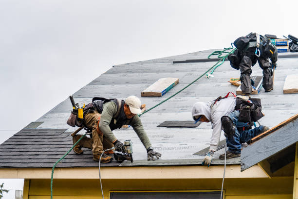 Professional Gutter Installation technician working in Oneco, FL